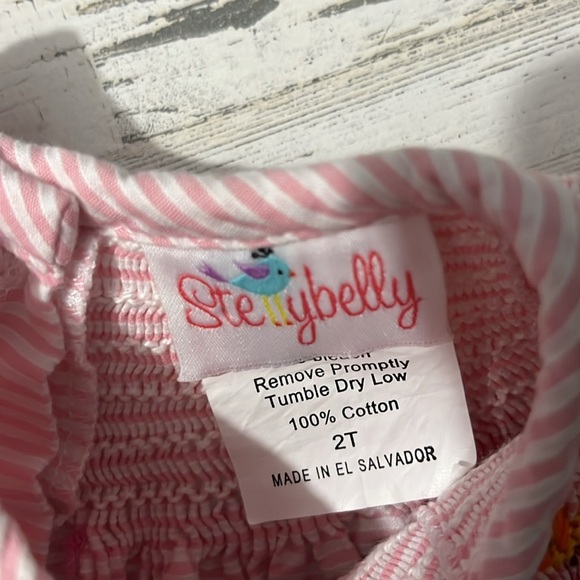 Easter Smocked Ballon Size 2T - Picture 8 of 8